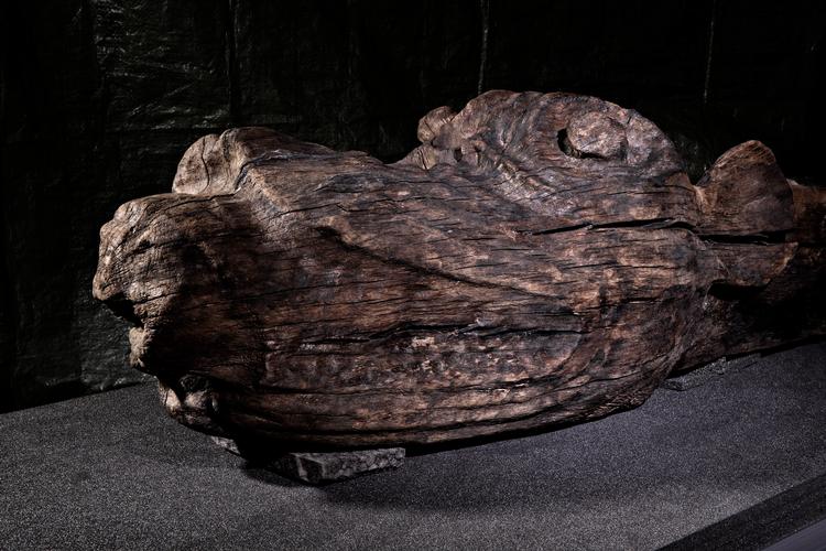 Galionsfiguren forestiller et ældgammelt fabeldyr, en grib, der er ved at æde et menneskehoved. Figuren er skåret i eg og vejer 250 kg, men cellulosen i cellerne var nedbrudt og nu erstattet med et kunststof.
   Foto: Jacob Ehrbahn