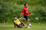 
Gennem hård træning i en nedgangstid har Pierre-Emile Højbjerg skabt sig et stort comeback både i 
Southampton og på landsholdet. Foto: Thomas Sjørup/Ritzau Scanpix