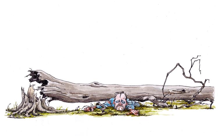 Tegning:  Roald Als