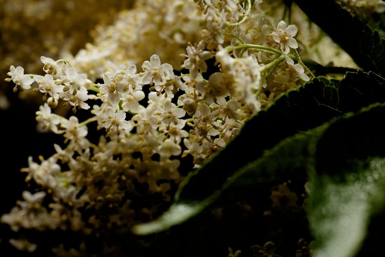 Arkivfoto Rune Pedersen