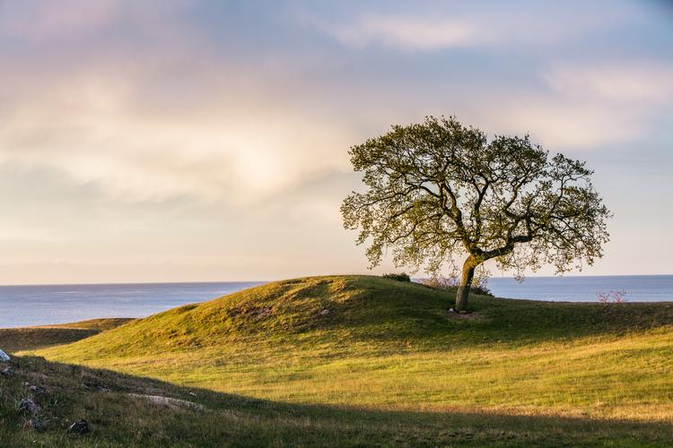 Foto: Anders Turkler/Visit Sweden 