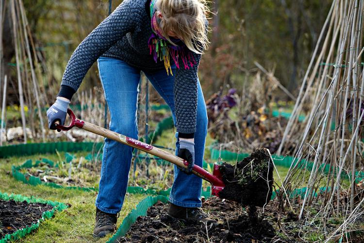 Havearbejde giver både motion og værdifuld social kontakt med familien og måske naboerne.   Foto: Martin Lehmann/POLFOTO
