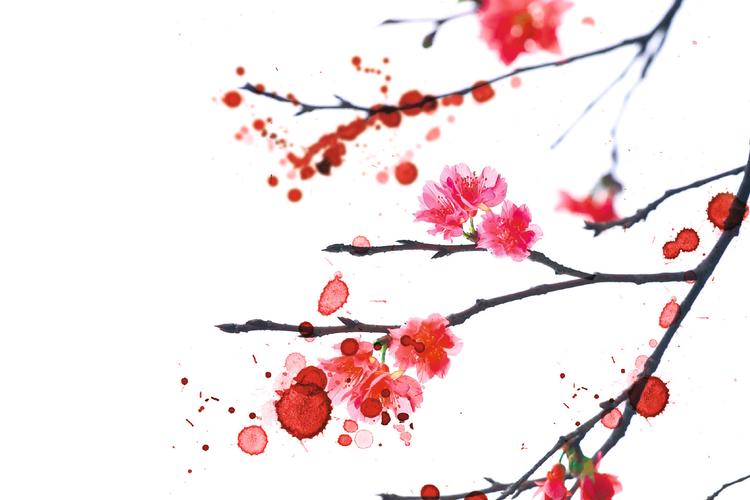 Foto: Udsnit af forside