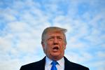 
Tirsdag aften amerikansk tid vil Donald Trump på et valgmøde i Florida formelt sparke gang i sin valgkamp for at genvinde præsidentposten i 2020.     Foto: MANDEL NGAN / AFP.
   Foto: Mandel Ngan/Ritzau Scanpix