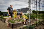Køkkenhaven er ved at tage form ved familien Johannesens nybyggede, energivenlige hus. Katrine og Jesper synes, at det er tilfredsstillende at være så selvforsynende som muligt, og børnene Julie, Johan og lille Topper smager gerne på varerne.   Foto: Mads Nissen/POLFOTO