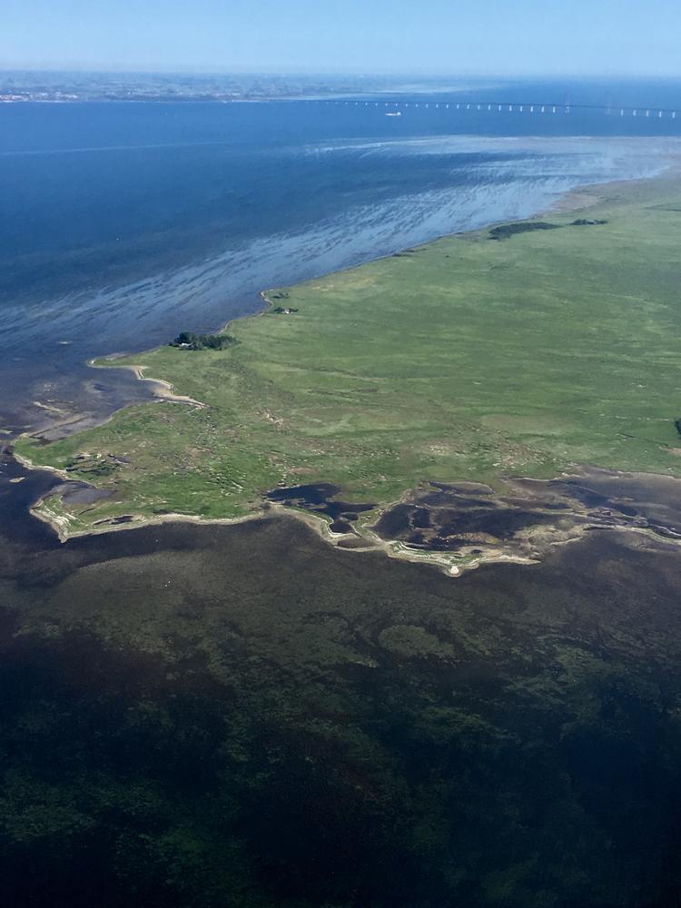 Toppen af Saltholm, som er en af den slags naturtyper som Ørehalen vil kunne skabe. Foto: Privat