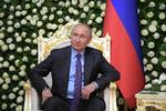 Den russiske præsident Vladimir Putin og den amerikanske præsident Trump skal muligvis mødes - det er i hvert fald Trumps ønske. Foto: Sputnik/Ritzau Scanpix