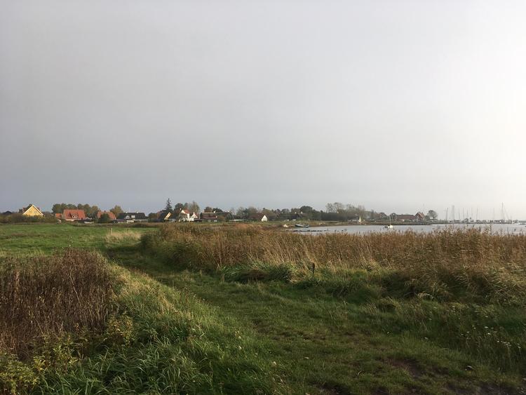 Bisserup har andet end skov, strand og en smuk udsigt ind over byen. Mange af indbyggerne er nået pensionsalderen, og mange er med til at gøre noget for fællesskabet. 