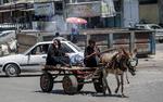 Palæstinensere på en æseltrukken kærre i Gaza-striben. Trump vil friste palæstinenserne med en massiv investeringsplan for Gaza og Vestbredden.
   Foto: Said Khatib/Ritzau Scanpix