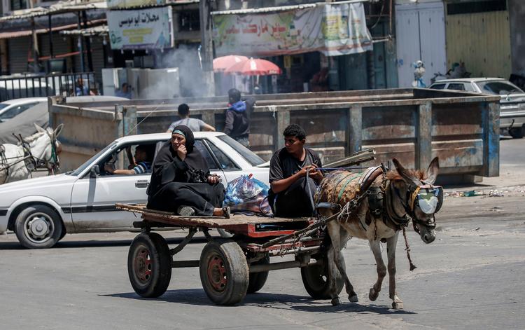 Palæstinensere på en æseltrukken kærre i Gaza-striben. Trump vil friste palæstinenserne med en massiv investeringsplan for Gaza og Vestbredden.
   Foto: Said Khatib/Ritzau Scanpix