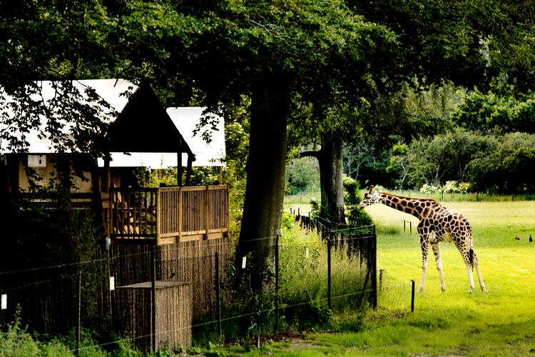 Foto: Nils Lund Pedersen