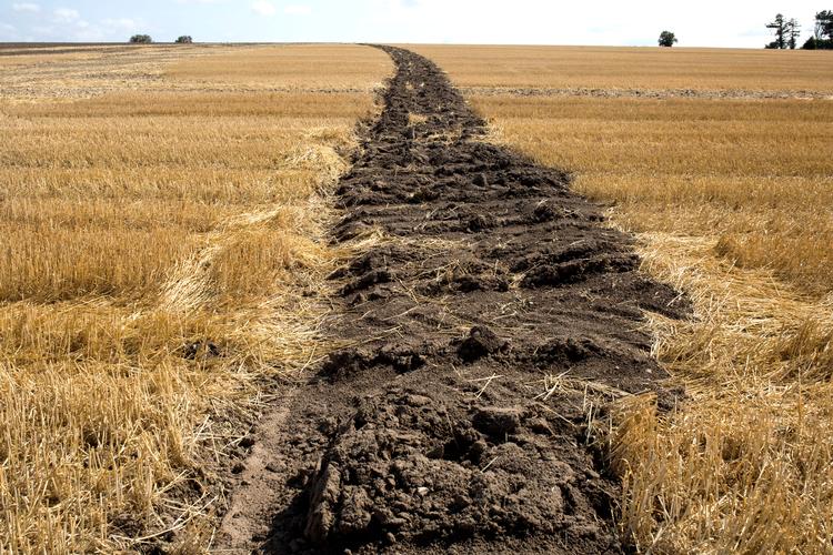 Landbruget skal have et bindende klimamål, lyder det i nyt klimudspil fra rød blok. Landbrug & Fødevarer er skeptiske.  Foto: Andreas Haubjerg/POLFOTO