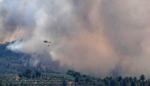 Hundredvis af brandfolk og flere helicoptere er sat ind i kampen mod naturbrande i Catalonien, mens temperaturer er steget til 40 grader mange steder i Europa. REUTERS/Albert Gea
   Foto: Albert Gea/Ritzau Scanpix