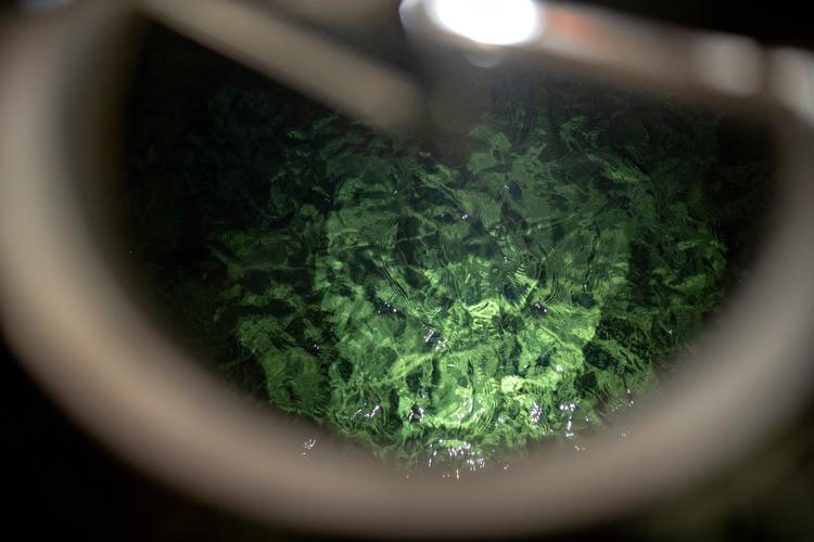 Arkivfoto: Miriam Dalsgaard Foto: Miriam Dalsgaard/POLFOTO