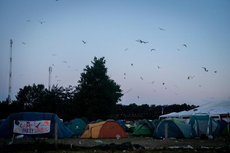 Antallet af anmeldelser om vold og voldtægt steg i forhold til sidste år. Festivalens talskvinde, Christina Bilde, ser det blandt andet som et udtryk for, at flere anmelder krænkende adfærd end tidligere, mens politiet i forhold til voldssagerne ser tegn på en lavere tolerancetærskel. Foto: Jens Hartmann Schmidt/POLFOTO