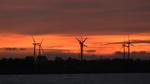 Havvindmøller toner frem ved solopgang i Østersøen. Verdens investeringer i vind og andre former for grøn energi faldt i starten af 2019, men der er grund til optimisme, mener flere analytikere. Foto: Mogens Flindt/POLFOTO