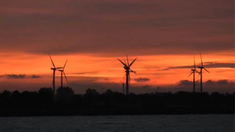 Havvindmøller toner frem ved solopgang i Østersøen. Verdens investeringer i vind og andre former for grøn energi faldt i starten af 2019, men der er grund til optimisme, mener flere analytikere. Foto: Mogens Flindt/POLFOTO