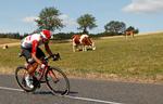 Køerne ænsede det ikke, men Thomas de Gendt leverede en strålende præstation, da han kørte alene og vandt 8. etape af Tour de France.
   Foto: Gonzalo Fuentes/Ritzau Scanpix