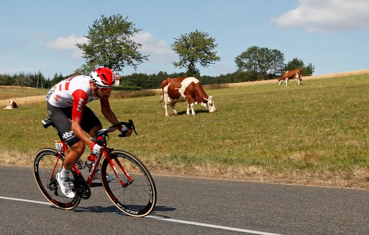 Køerne ænsede det ikke, men Thomas de Gendt leverede en strålende præstation, da han kørte alene og vandt 8. etape af Tour de France.
   Foto: Gonzalo Fuentes/Ritzau Scanpix