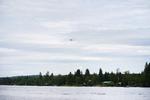 En redningshelikopter i luften ved ulykkesstedet.  Foto: 11630 Samuel Pettersson/Ritzau Scanpix