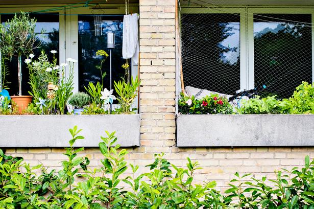 Foto: Maud Lervik/POLFOTO