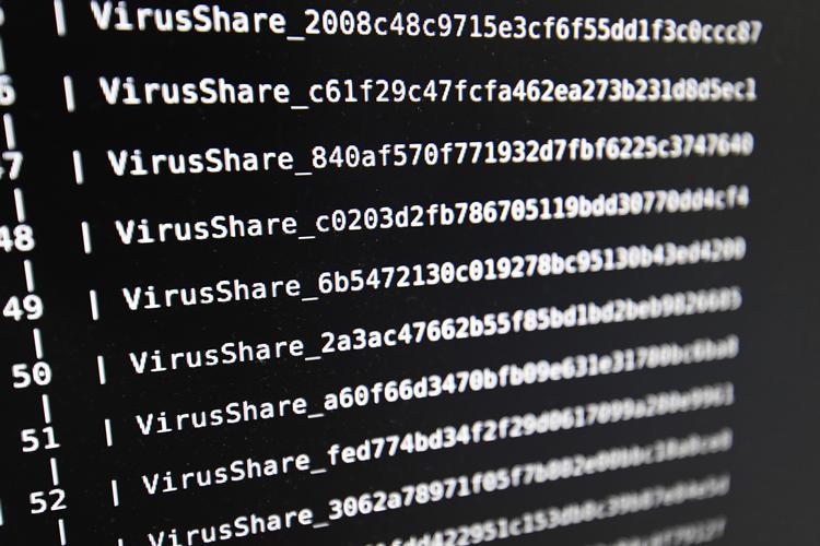 En kontrol af Forsvarets Efterretningstjenestes indhentning af oplysninger i 2018 viser, at tjenesten 'i 13 procent af de udtrukne tilfælde uberettiget har foretaget søgning i rådata', viser en ny redegørelse fra Tilsynet med Efterretningstjenesterne (TET) offentliggjort tirsdag. Foto: Damien Meyer/Ritzau Scanpix
