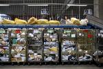 Sortering af pakker hos PostNord. Arkivfoto. Foto: Finn Frandsen/POLFOTO