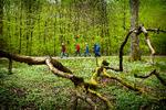 
Start med at gå en tur og prøv dig frem med motion, hvis du allerede er ramt af stress, lyder rådet. 
   Foto: Morten Langkilde
