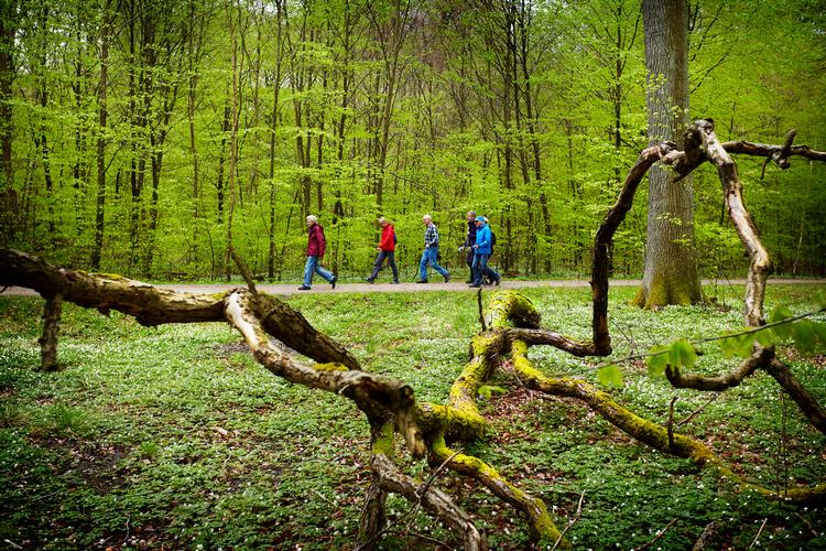 
Start med at gå en tur og prøv dig frem med motion, hvis du allerede er ramt af stress, lyder rådet. 
   Foto: Morten Langkilde