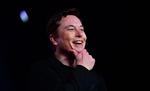 Det ultimative mål med chippen er symbiose mellem menneskehjerne og kunstig intelligens. Ifølge Elon Musk har Neuralink allerede lavet forsøg med aber, der har været i stand til at styre en computer. Foto: Frederic J. Brown/Ritzau Scanpix