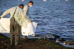 Lig i massevis skyller op på Tunesiens strande, hvor de ender i fællesgrave. EU's forbud mod NGO-skibe har gjort det farligere at være bådflygtning.  Foto: Fathi Nasri/Ritzau Scanpix