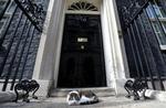 Boris Johnson iværksatte allerede i sine første timer som premierminister en omfattende udskiftning af ministrene i den britiske regering.
Men katten Larry, der har boet på den berømte adresse siden 2011, får lov til at beholde sin titlen som chefmusefanger. Foto: Simon Dawson/Ritzau Scanpix