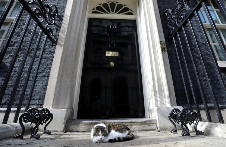 Boris Johnson iværksatte allerede i sine første timer som premierminister en omfattende udskiftning af ministrene i den britiske regering.
Men katten Larry, der har boet på den berømte adresse siden 2011, får lov til at beholde sin titlen som chefmusefanger. Foto: Simon Dawson/Ritzau Scanpix