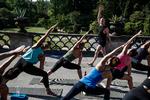 HVil du til morgenyoga? På dækket foran Skuespilhuset er der morgenyoga mandag og onsdag fra 7.30 frem til 5. august. I Botanisk Have er der morgenyoga på Palmehusets terrasse alle morgener pånær mandage 8.50 frem til 11. august.  Begge steder betaler man kontant eller med mobile pay. Det er en god ide at medbringe egen måtte.
   Foto: Ditte Valente