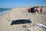 62 lig er indtil videre hentet op fra havet ud for Libyens kyst.   Foto: -/Ritzau Scanpix