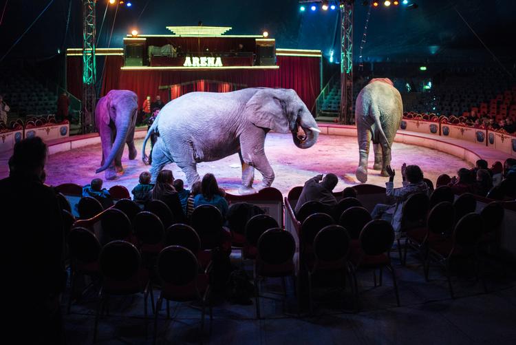 Foto: Hansen Michael/POLFOTO