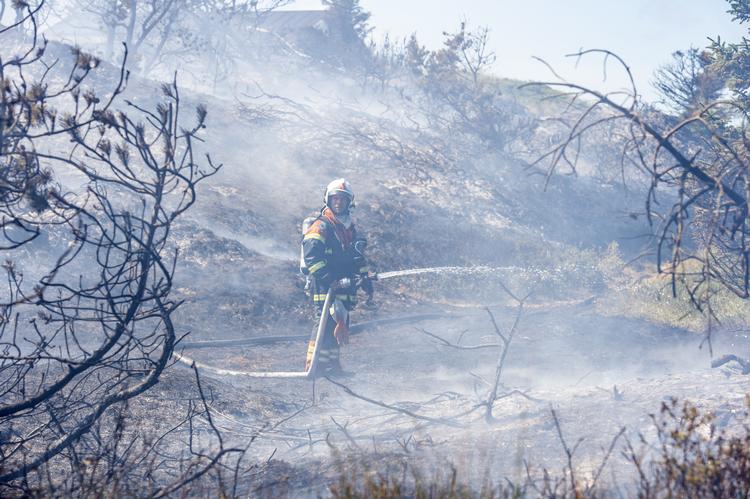 En naturbrand ramte Blokhus i Nordjylland sidste sommer, hvor dette billedet stammer fra. Foto: René Schütze/Fotograf René Schütze
