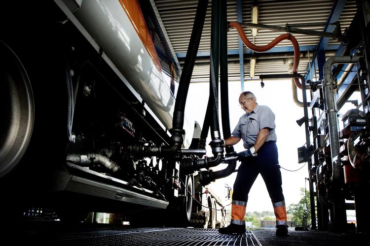 Ingen af de gængse kilder til at producere biodiesel, raps, soja og palmeolie, der udleder mindre CO2 end diesel produceret af råolie. Foto: Thomas Borberg/POLFOTO
