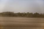 En støvstorm fotograferet nær Sorø. Den svigtende regn i april måned betyder, at jorden er voldsomt tør ude på markerne. Arkivfoto. Foto: Louise Herrche Serup/POLFOTO