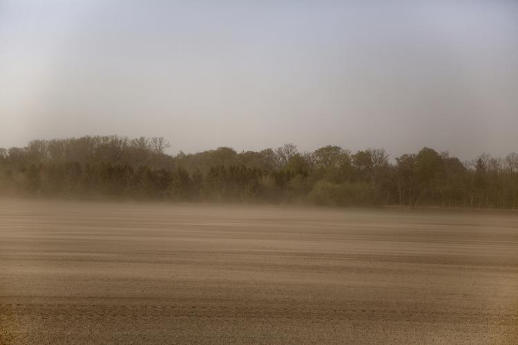 En støvstorm fotograferet nær Sorø. Den svigtende regn i april måned betyder, at jorden er voldsomt tør ude på markerne. Arkivfoto. Foto: Louise Herrche Serup/POLFOTO