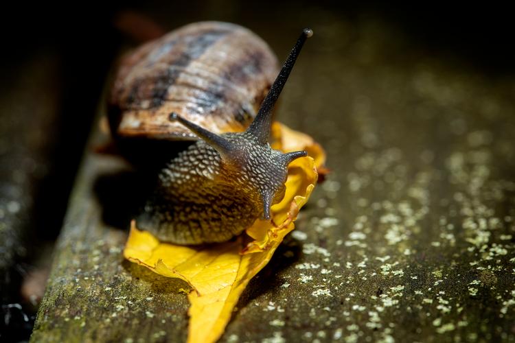 Foto: Peter Hove Olesen/POLFOTO