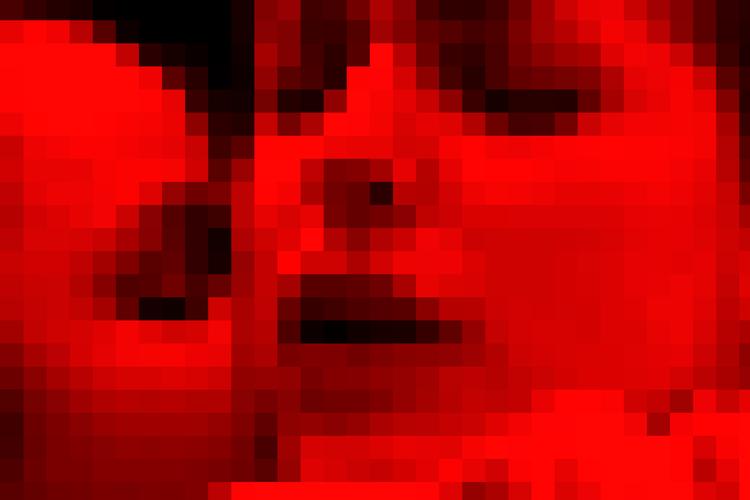 Originalfoto: Four Chambers. Illustration Kaspar Busch