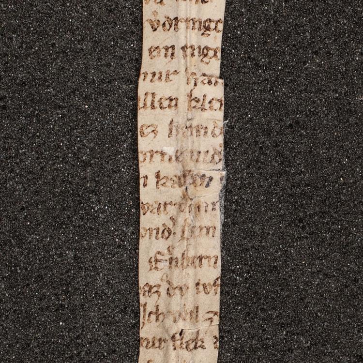 Gennem digtet 'Der Rosendorn' mundhugges en jomfru med sin vagina om, hvem af de to mændene bedst kan lide.  Foto: Melk Abbey