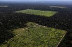 Det er tydeligt, at skovrydningen i Amazonas i Brasilien tager til med stor hast. Alligevel blev Ricardo Galvão, leder af Brasiliens statslige rumorganisation, fyret for at lave en offentliggørelse af, hvor voldsomt skovrydningen er taget til, siden Jair Bolsonaro er blevet Brasiliens præsident.
   Foto: Nacho Doce/Ritzau Scanpix