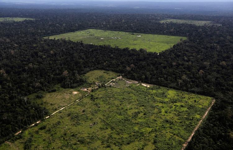 Det er tydeligt, at skovrydningen i Amazonas i Brasilien tager til med stor hast. Alligevel blev Ricardo Galvão, leder af Brasiliens statslige rumorganisation, fyret for at lave en offentliggørelse af, hvor voldsomt skovrydningen er taget til, siden Jair Bolsonaro er blevet Brasiliens præsident.
   Foto: Nacho Doce/Ritzau Scanpix