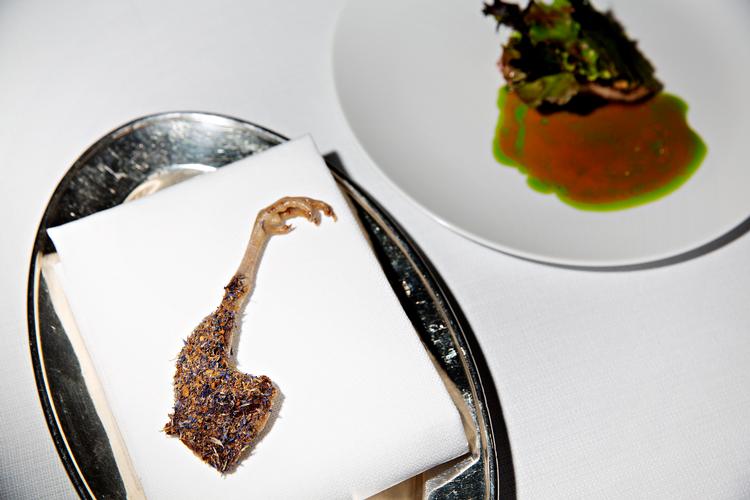 Foto: Martin Lehmann/POLFOTO