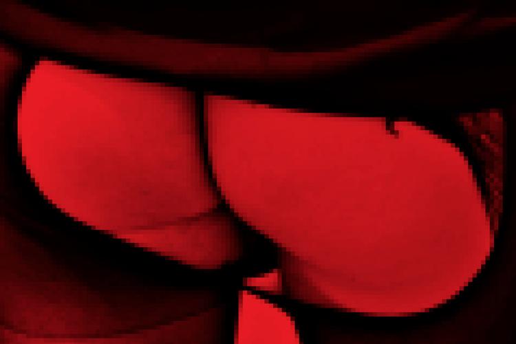 Ilustration Christine Vierø Larsen. Originalfoto: Niels Christensen