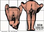 'Bum Holes' fra 1994 er blandt de værker, som kan opleves på Gilbert & George-udstillingen på Astrup Fearnley Museum i Oslo.  