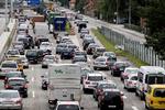
 Der er ofte køer på motorvejene, især i hovedstadsområdet. Foto: Finn Frandsen/POLFOTO