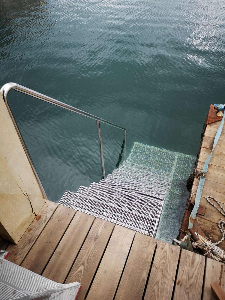 Nemt er det at hoppe i vandet. Aktivitetshuset har sørget for, at det også er nemt at komme op igen. Foto: PR